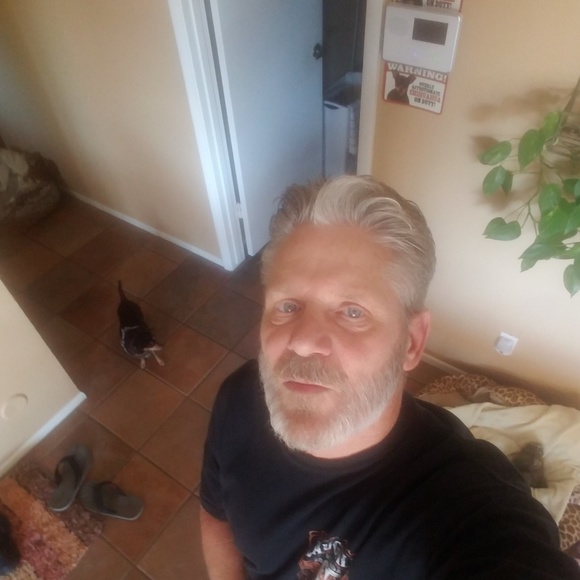 Meet your Posher, David - Picture 1 of 1